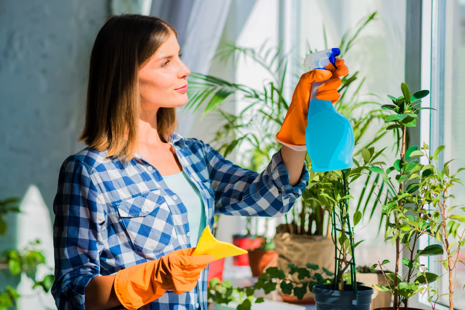 Cleaning service carousel image 1